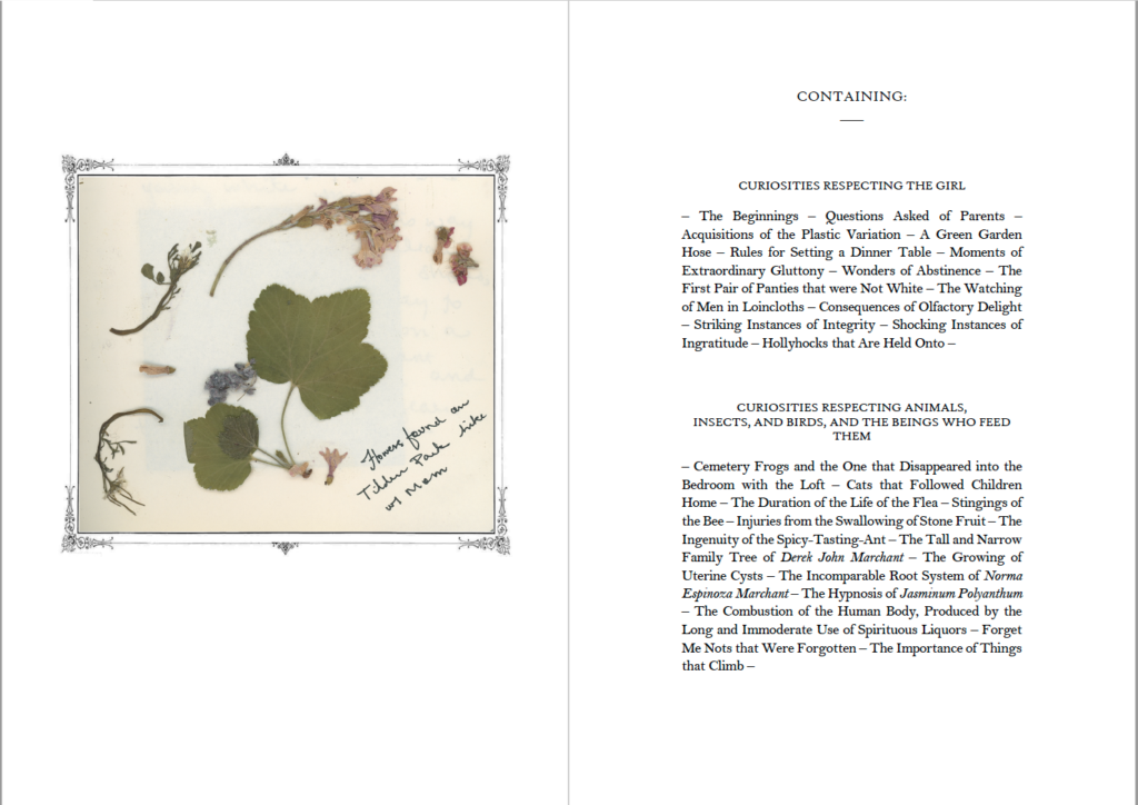 Two-page spread of pressed plants found in Tilden Park and a curious table of contents 