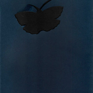 dark blue book with butterfly cut out
