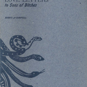 blue book cover with snakes