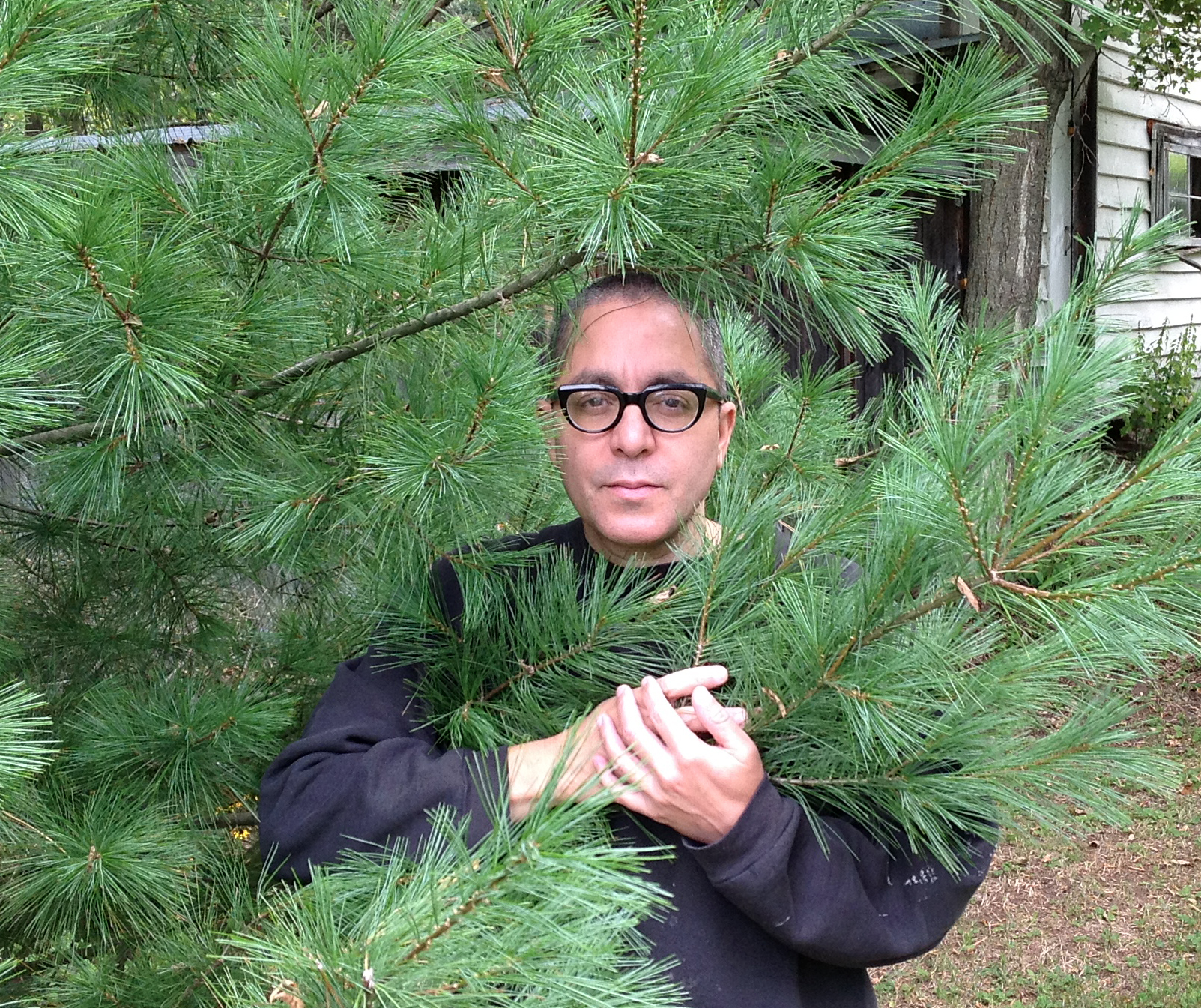 Nicolás peers back at you from behind the branches of a pine tree