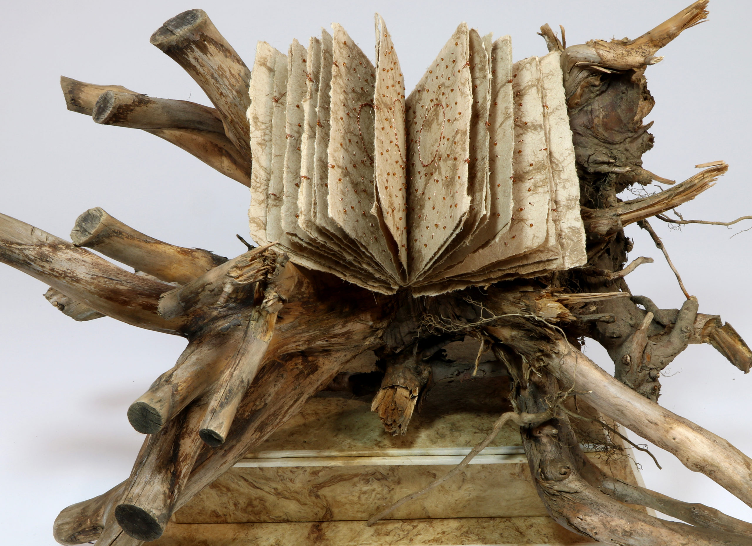 sculptural book