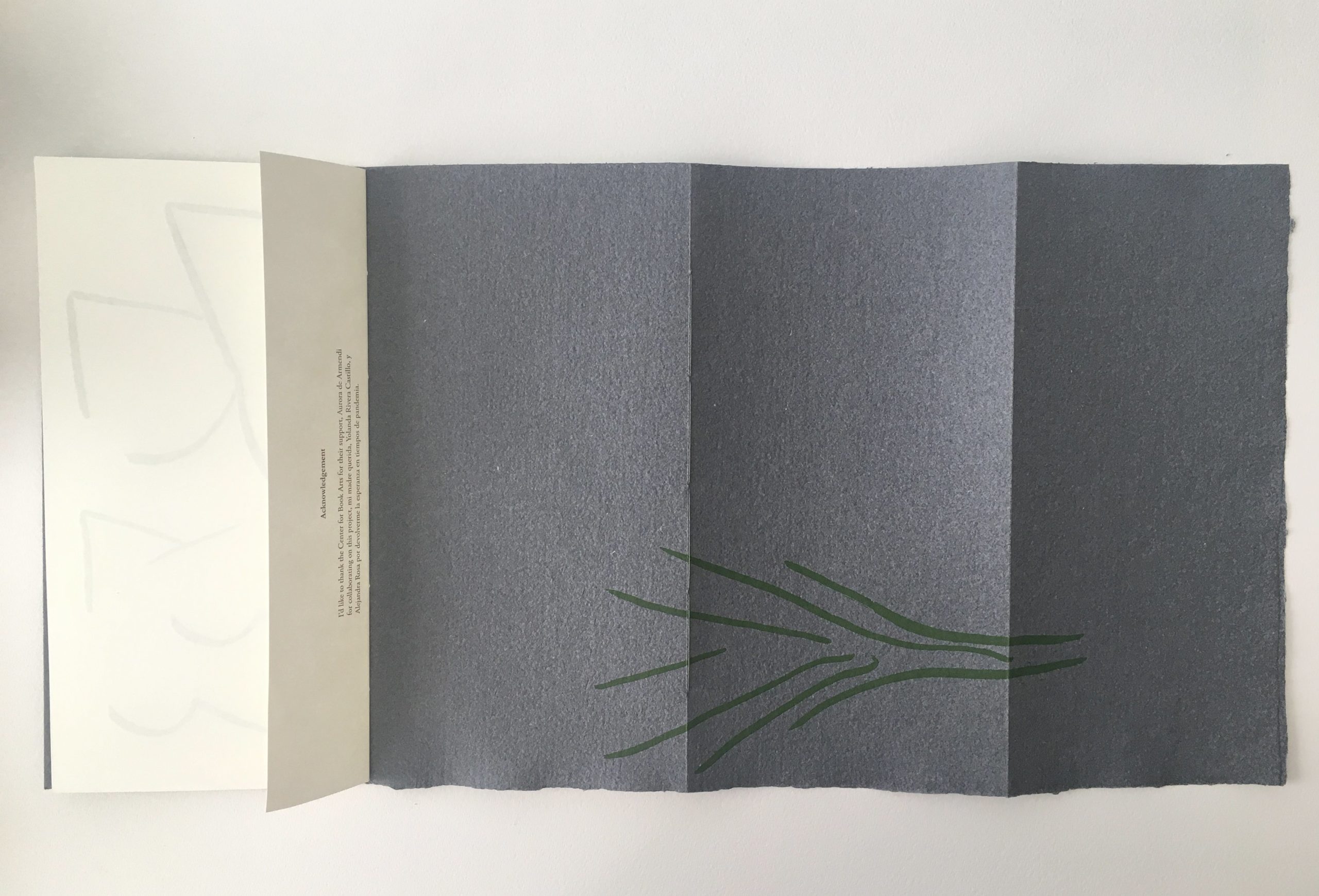 book unfolded to show cover with green plant design