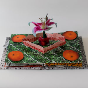 A pop up book featuring four oranges cut out of paper surrounding a square of two shades of pink and a lily emerging from the center