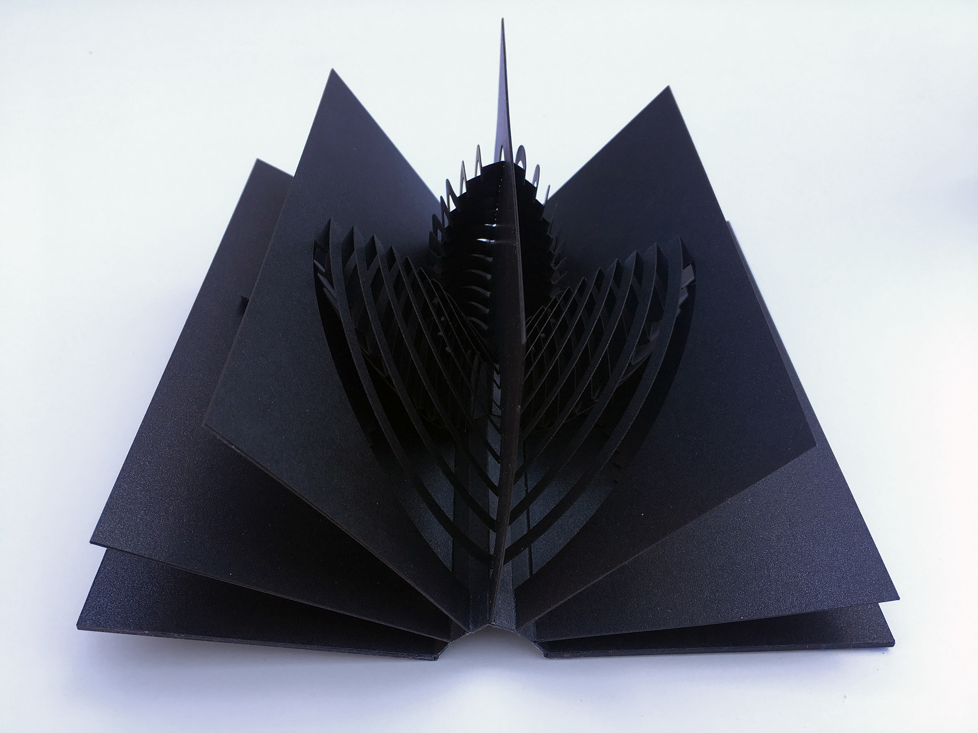 black book with intricate geometric popup