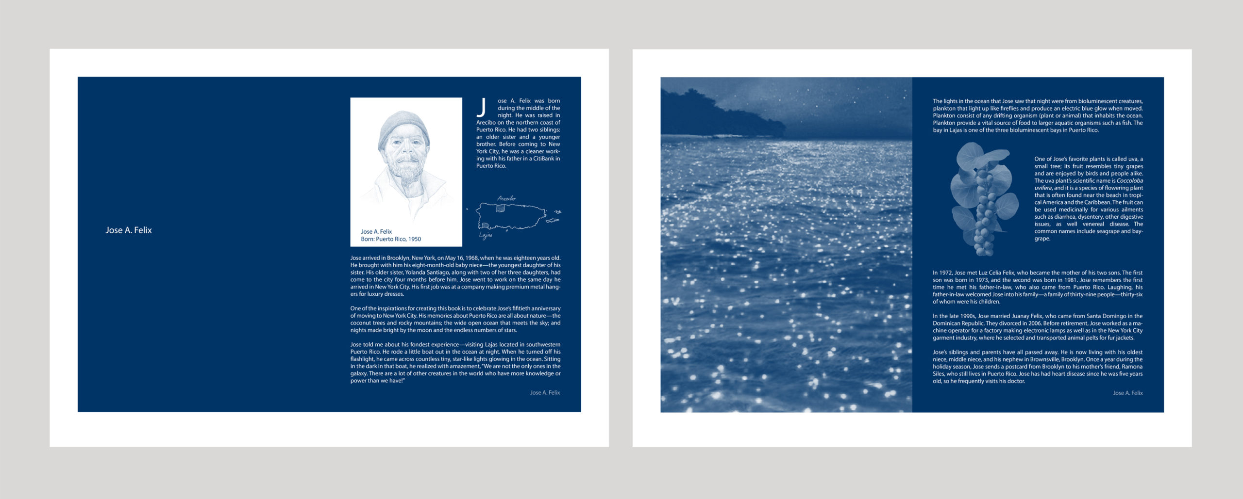 cyanotype book spreads with portraits