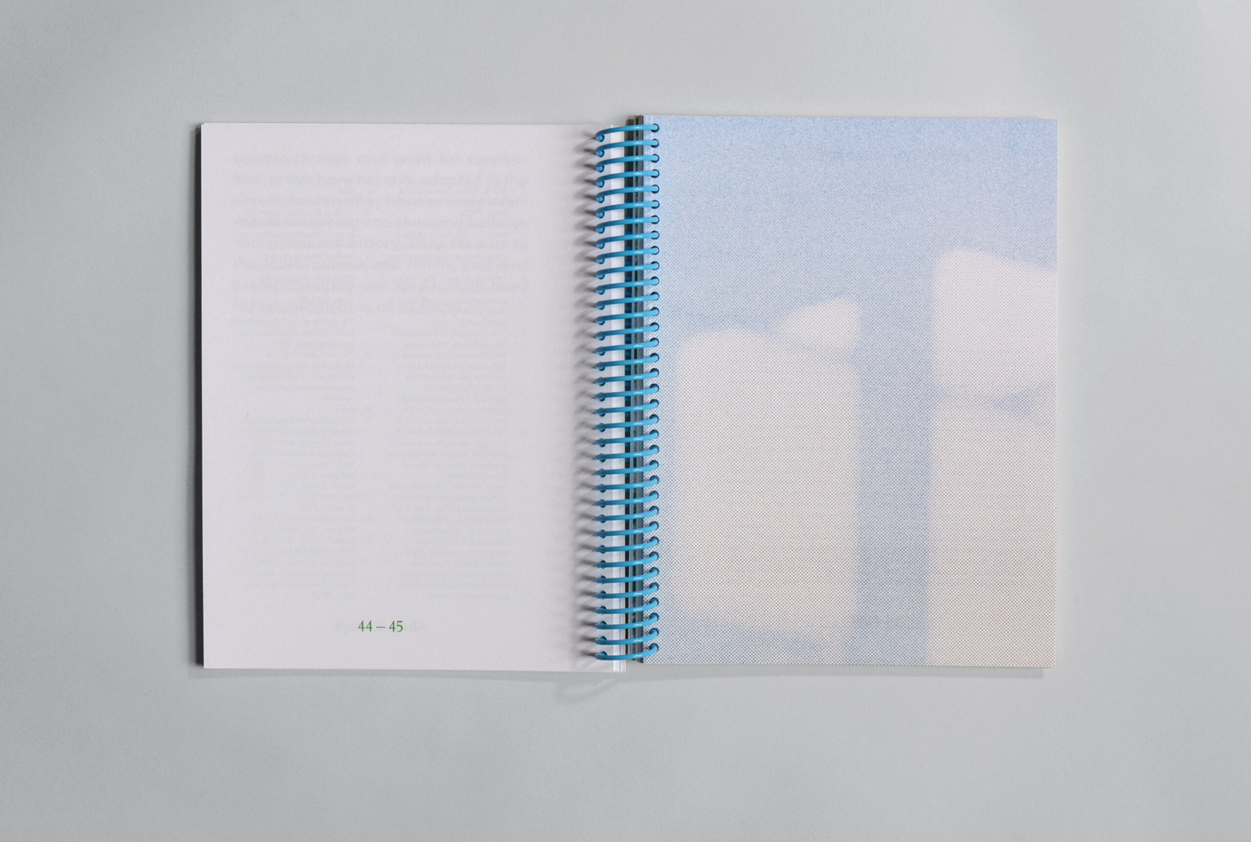 Risograph printed exhibition catalog with light blue image on white paper, bound with a blue spiral coil.