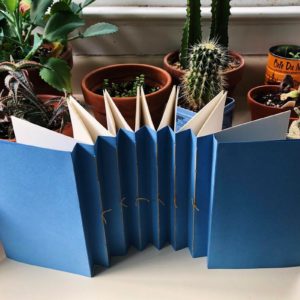 An example of an expanded pamphlet by Beth Sheehan. The pamphlet has a blue cover and is surrounded by a bunch of tiny plants.
