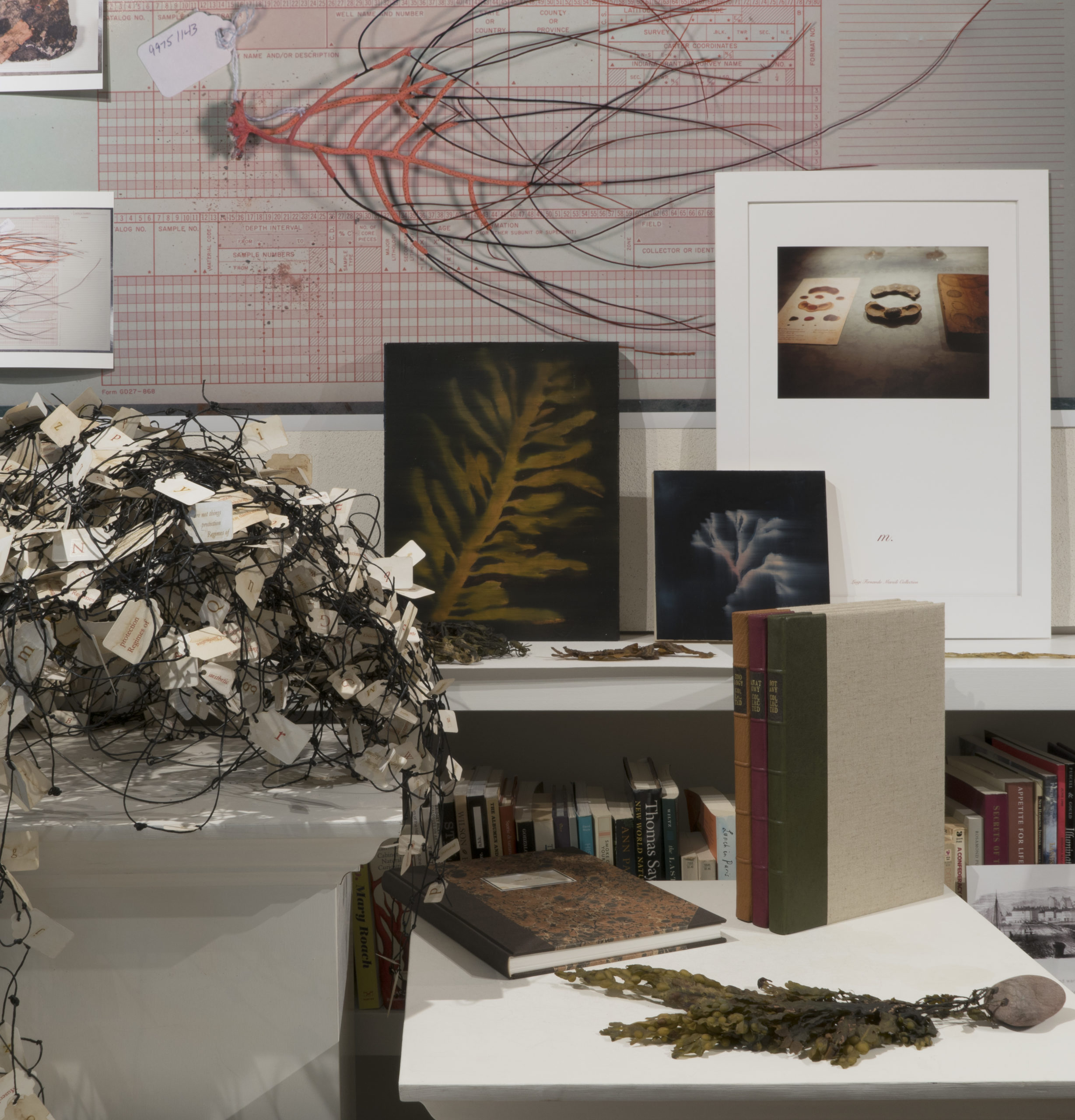 Still life image of Stirrat's organic shaped artwork near a display of books and a bookshelf.