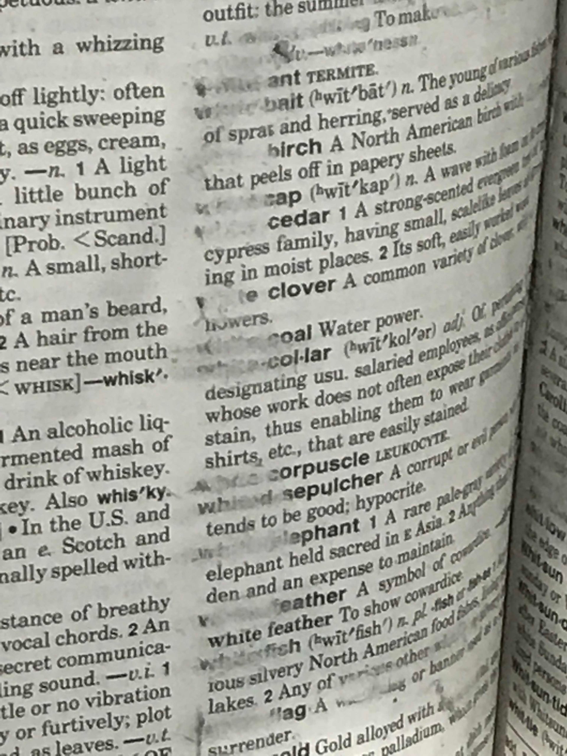 close up of dictionary with words blurred out