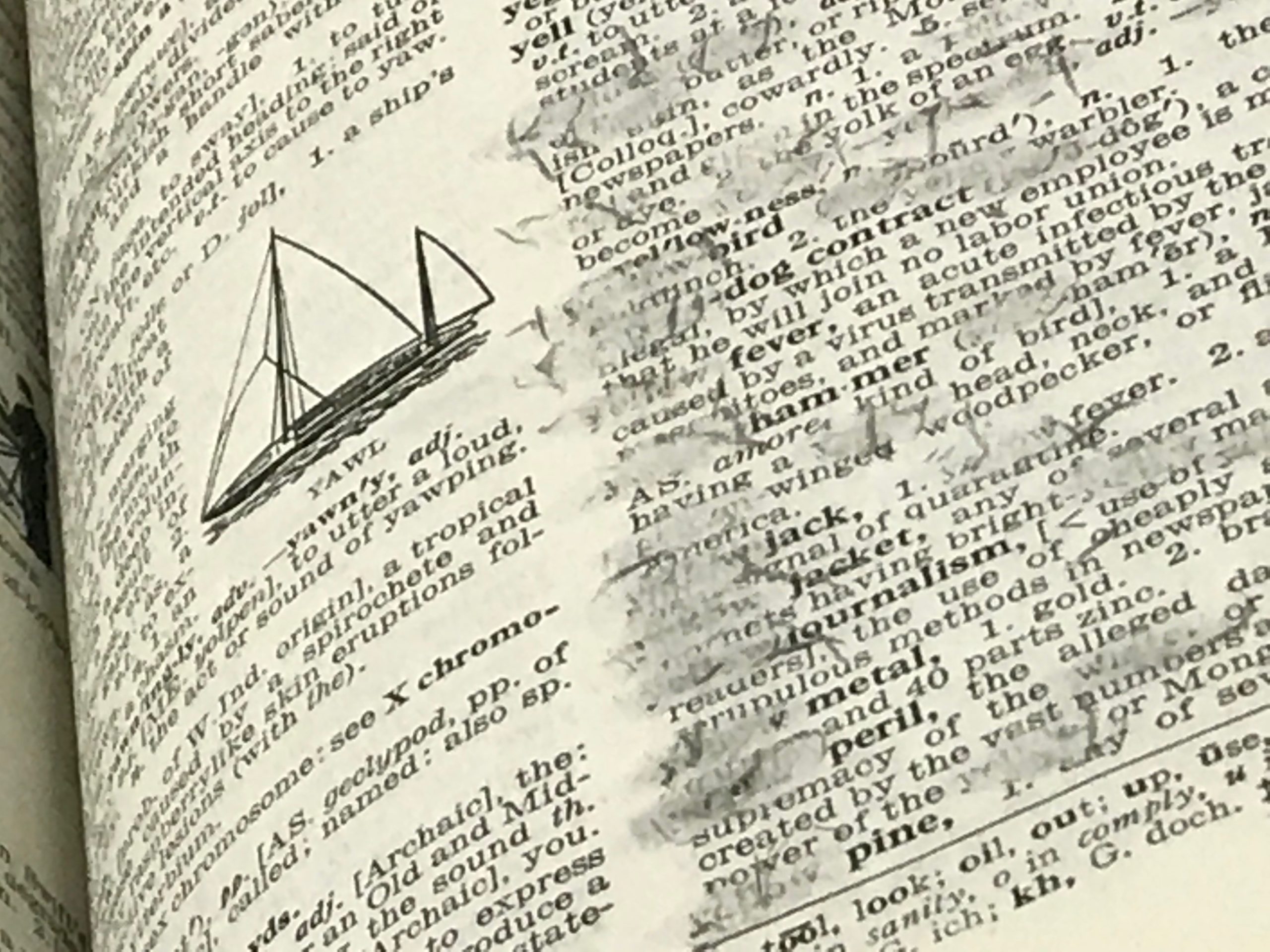 close up of dictionary with words rubbed out