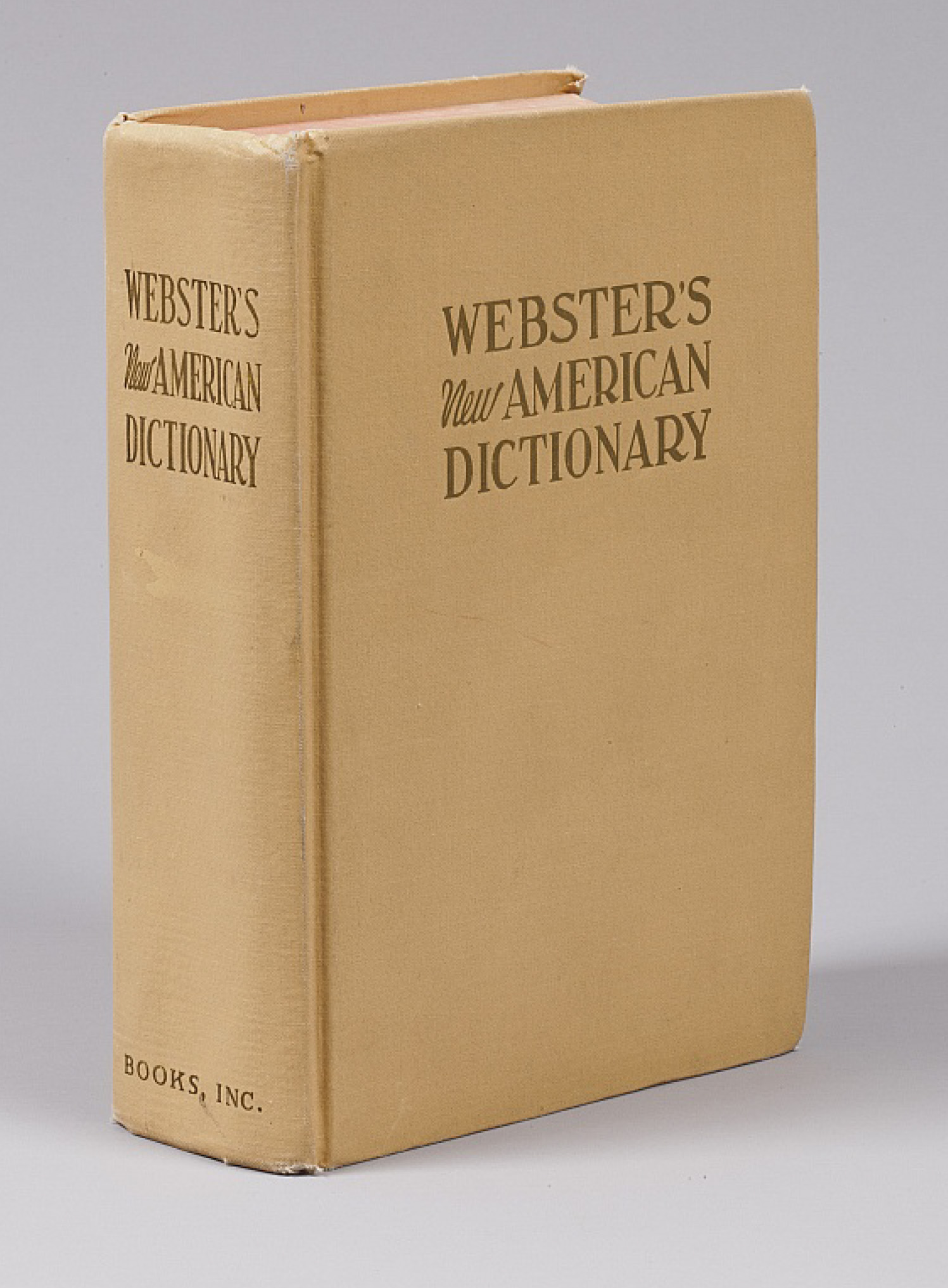 websters dictionary
