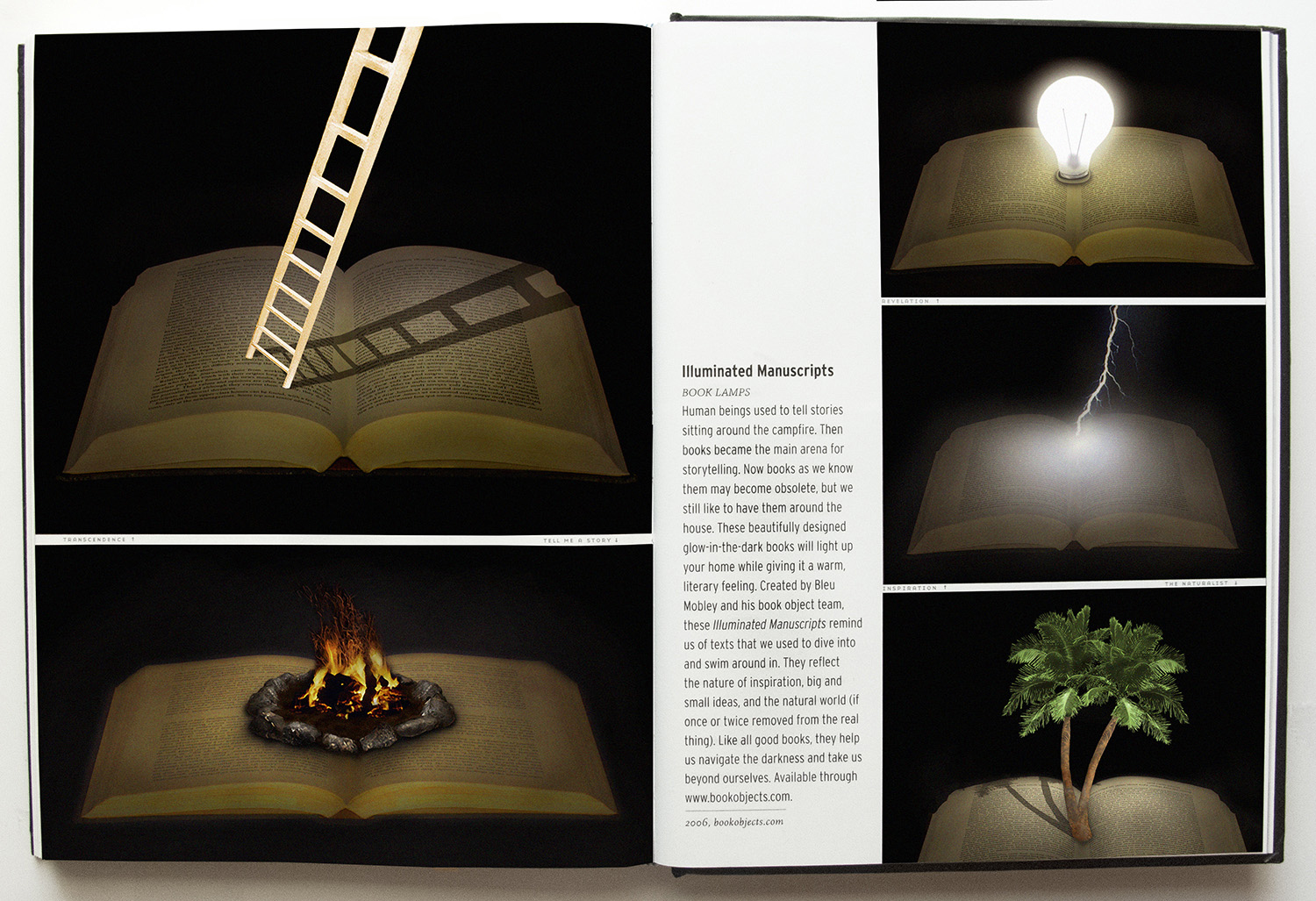 Open books with images of ladder, lightbulb, fire and palm tree