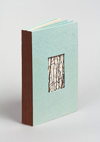 Spine of book called Cabinet of Curiosities by Linda Hanauer