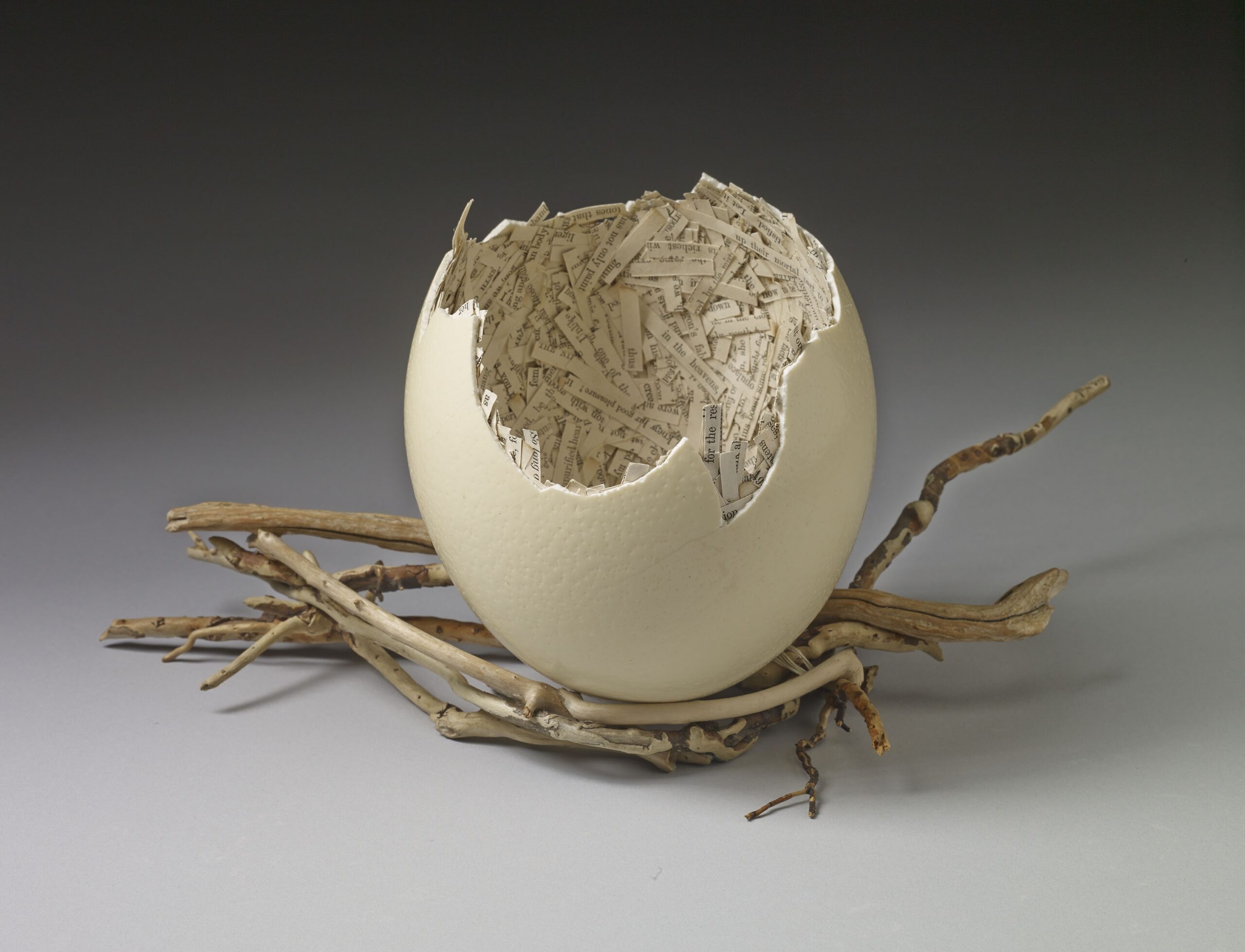OVUM II, ostrich egg, twigs, paper: pages by Margaret Fuller dated 1855, 5.75 x 10.5 x 8.5in, 2016.