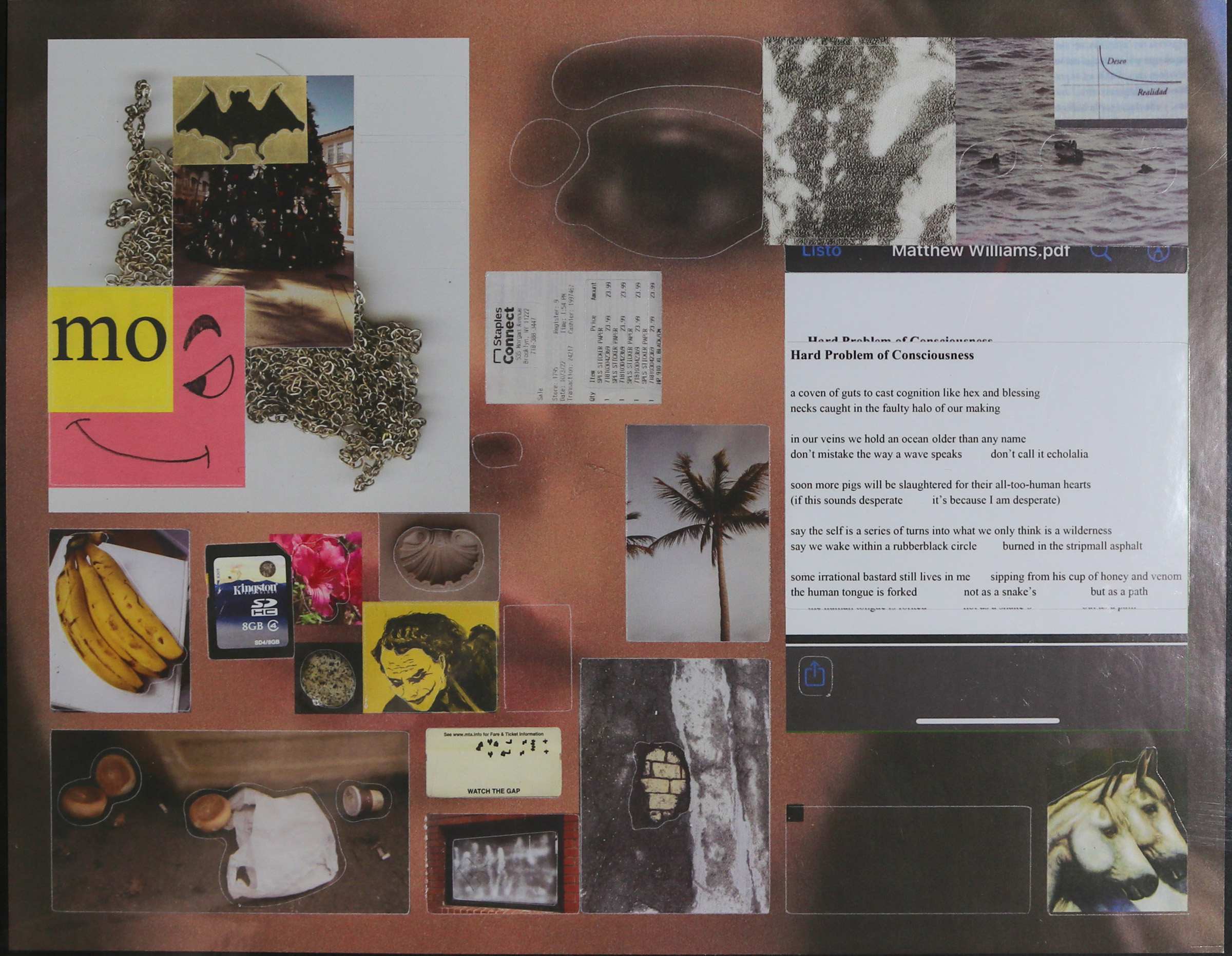 Rectangular in shape and horizontal in length, this broadside consists of a collage of photos that cover the broadside, with a larger photograph of a woman's face covered by them in the background. Photos include that of a bunch of bananas, a palm tree, horses, Heath Ledger's Joker, bagels and a coffee cup photographed on the ground with a white plastic bag in the middle, a pink flower, a receipt, and the typed up poem of the author's, set to the right and centered in the middle, with his name at the very top. All photos on the broadside are spread out, set fittingly next to each other. Signed by the author.