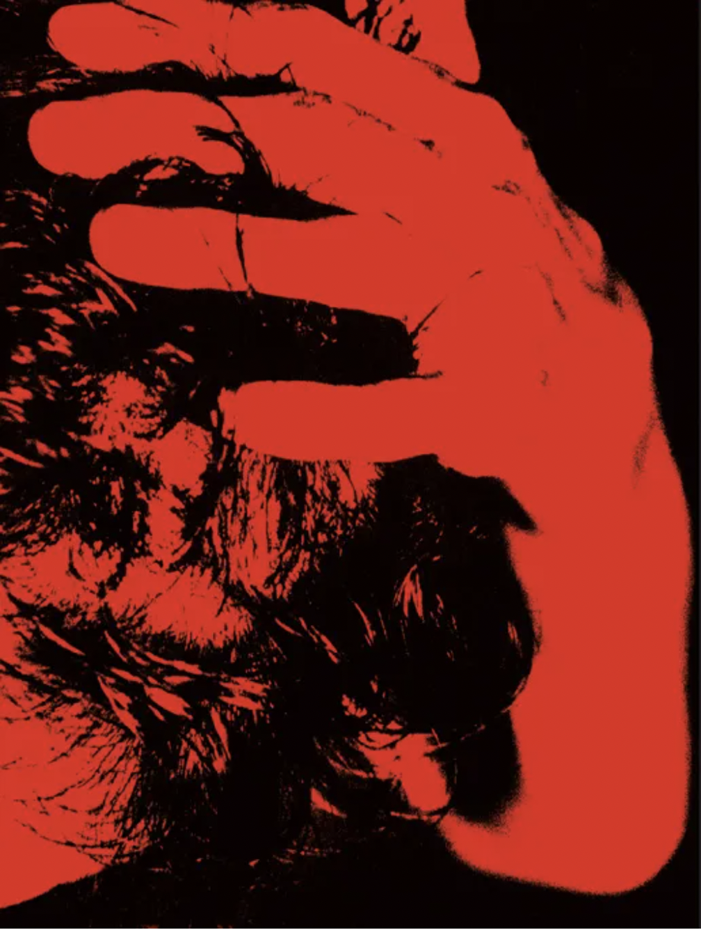 Flashpoint! Protest Photography in Print, 1950-Present